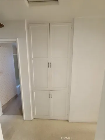 Hall closet