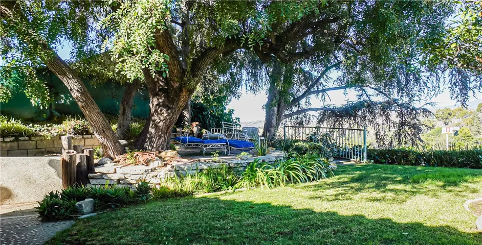 Yard and Rear Decking