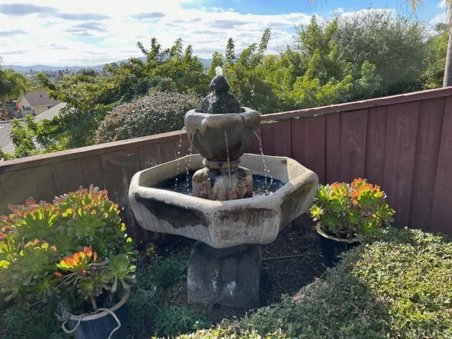 Fountain in Backyard