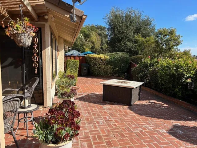 back yard