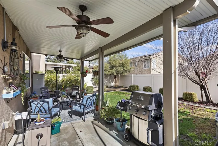 Another View of the Backyard
