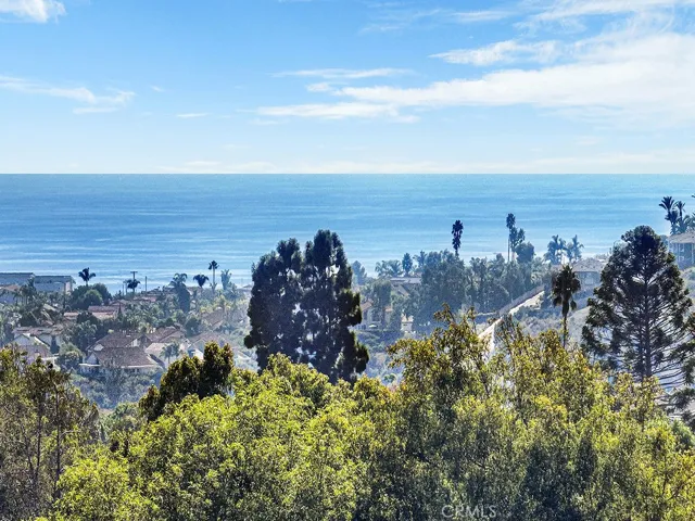 25102 Danabirch, Dana Point, California 92629