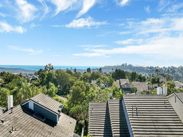 25102 Danabirch, Dana Point, California 92629