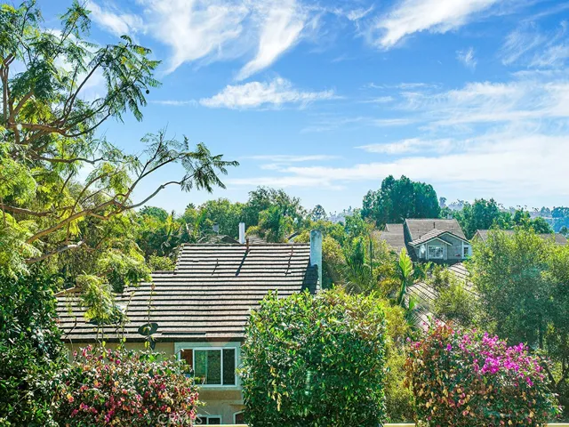25102 Danabirch, Dana Point, California 92629