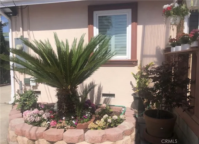 In backyard off deck