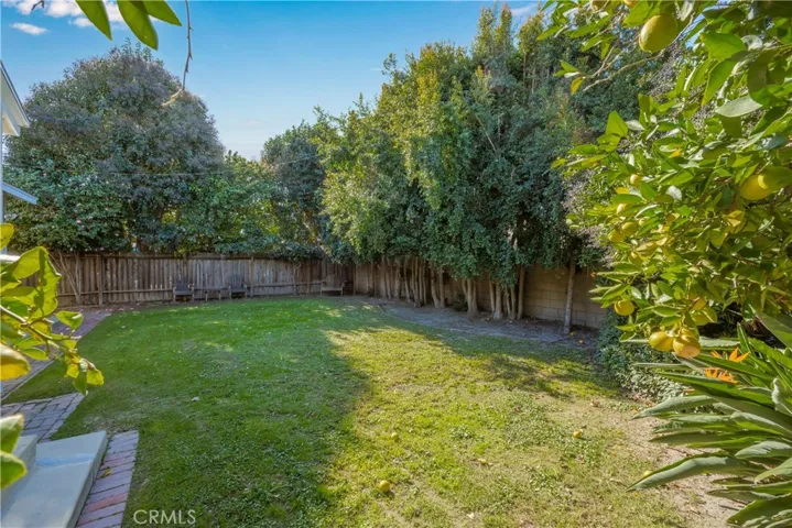 Private backyard aided my tall trees