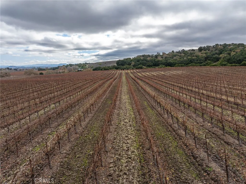 2135 Live Oak Rd, Paso Robles, California 93446 home-pic-71