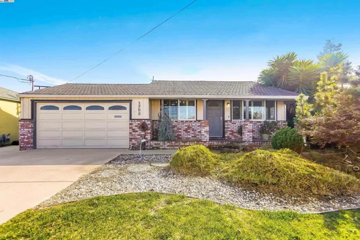 Low Maintenance Manicured Lawn