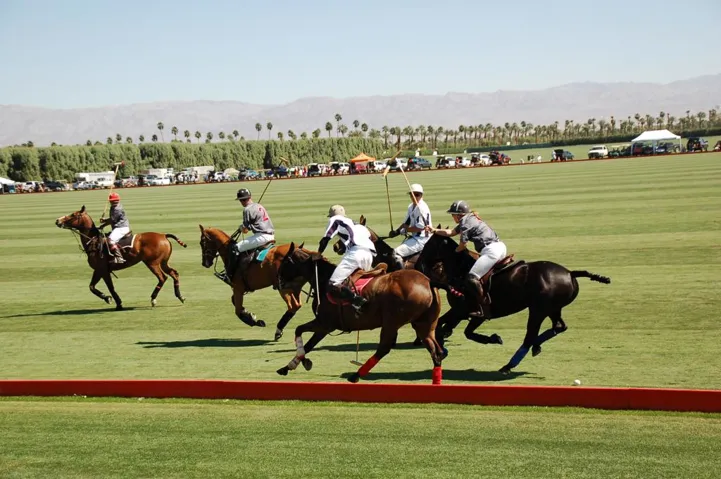 rancho santana Polo Field ponies