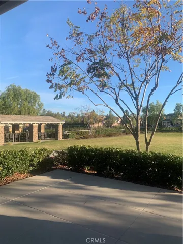 Community Center Grass Area Fire Pit and BBQ