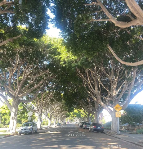 2339 22nd Street, Santa Monica, California 90405
