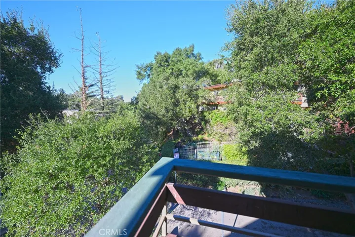 View from Den.