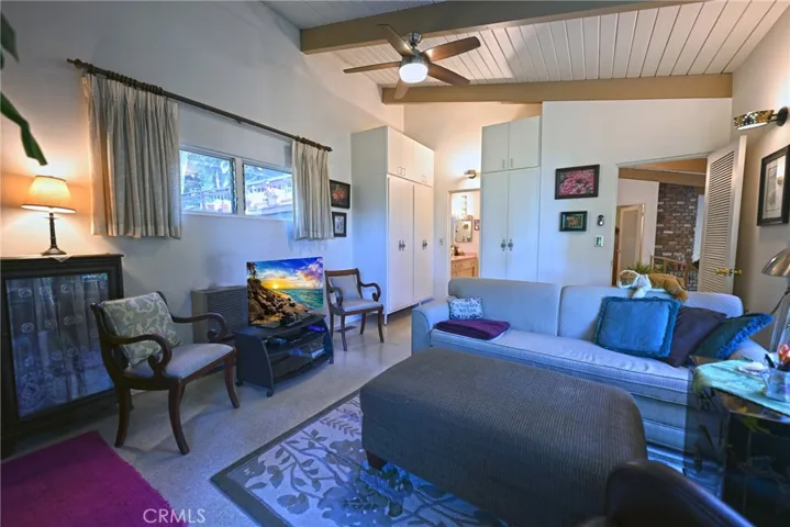 Convertible Den, TV Room.