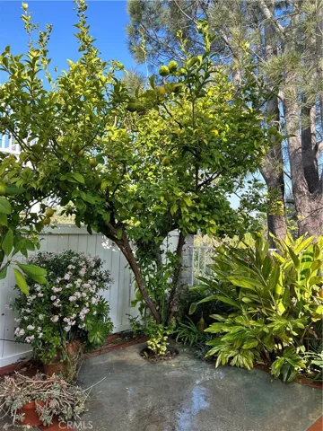 4 Coralwind, Aliso Viejo, California 92656