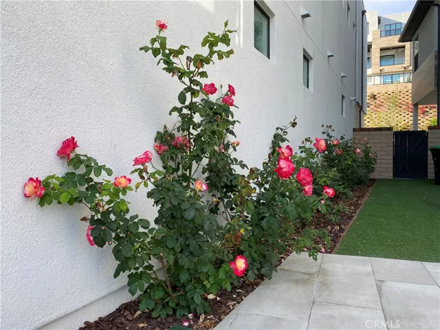26266 Paseo Sillin, San Juan Capistrano, California 92875