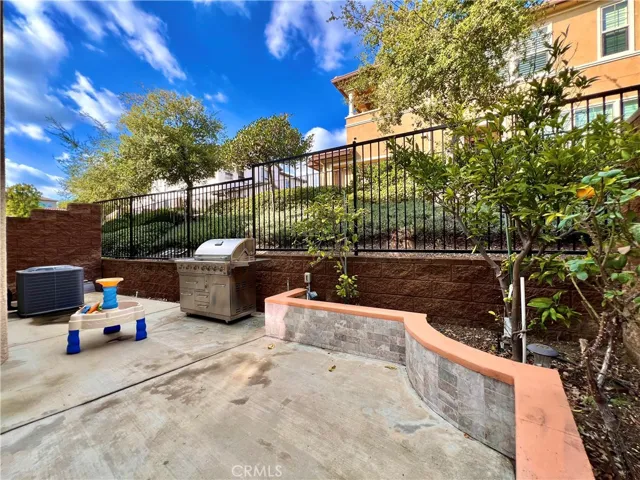 Back yard