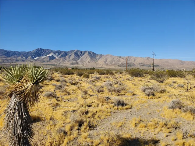 1 Ac Buena Vista Road, Lucerne Valley, California 92356