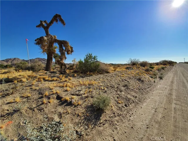 1 Ac Buena Vista Road, Lucerne Valley, California 92356