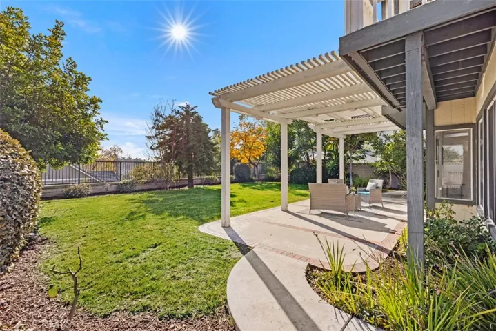 back yard