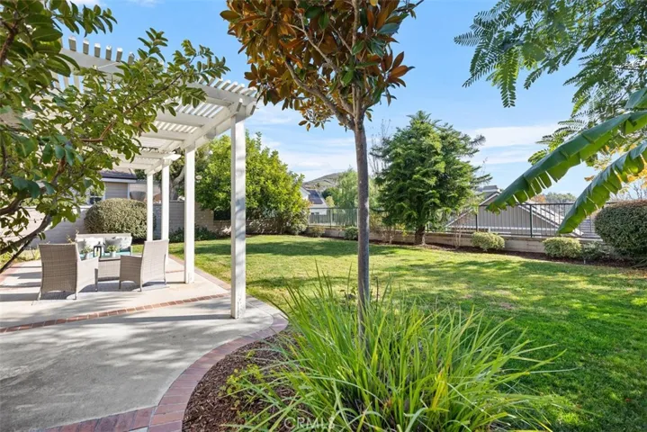 back yard