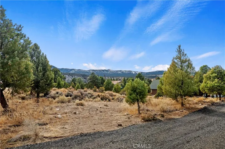 view from front of lot
