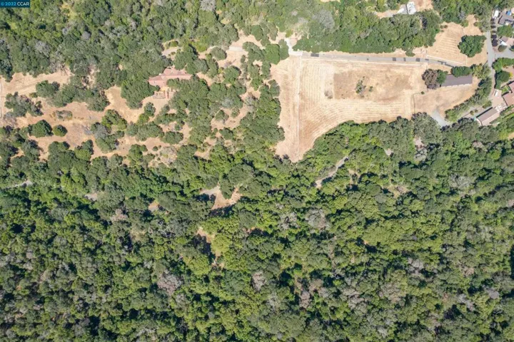 Balloon View