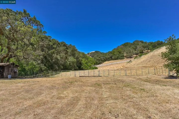 Lower Pasture