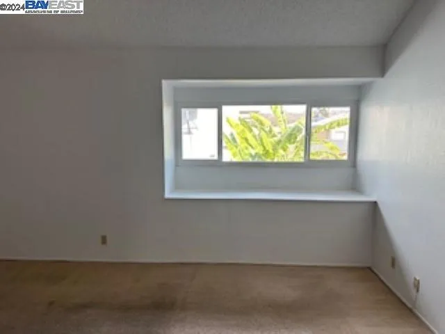 Primary bedroom window