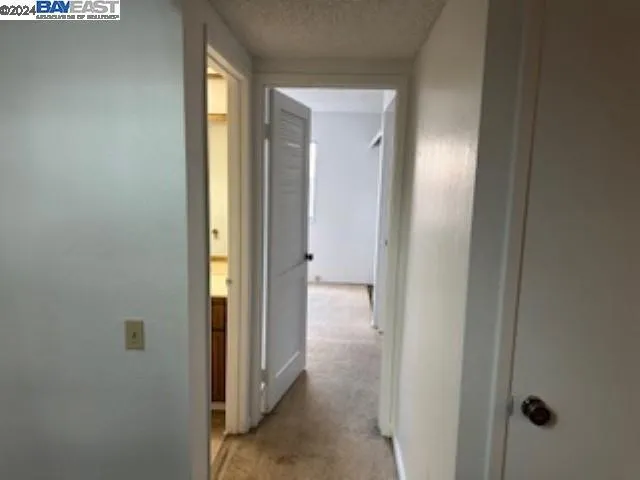 Hallway to Downstairs bath and bedroom