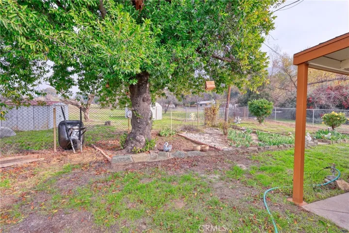 Back Yard Garden