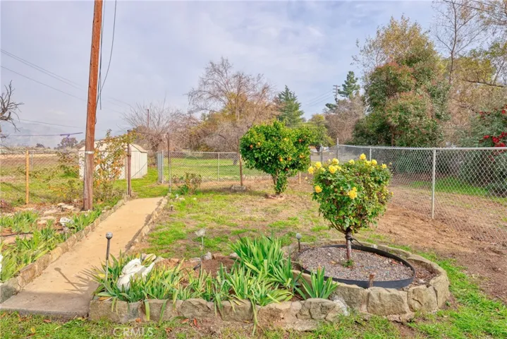Back Yard Garden