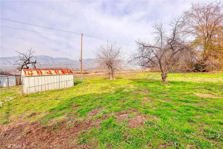 Side Yard