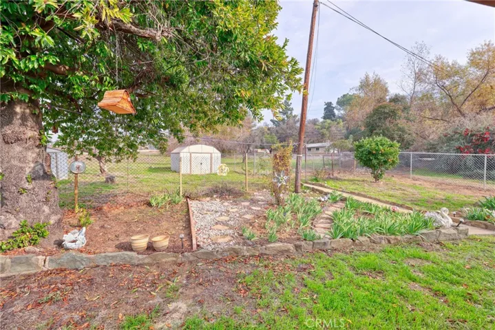 Back Yard Garden
