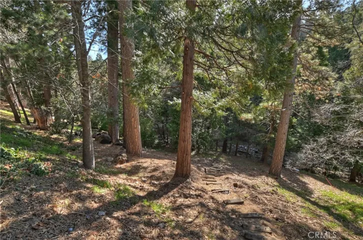 24763 Basel Drive, Crestline, California 92325