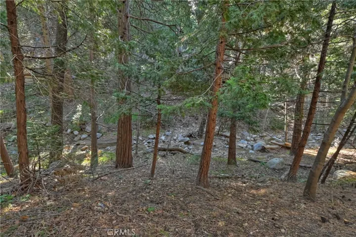 24763 Basel Drive, Crestline, California 92325