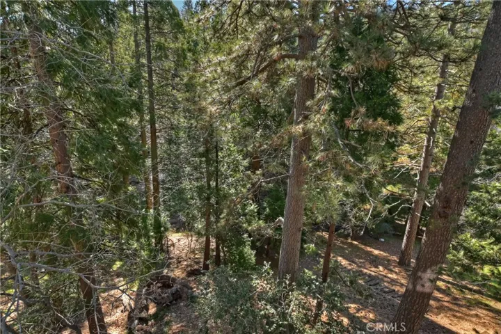 24763 Basel Drive, Crestline, California 92325