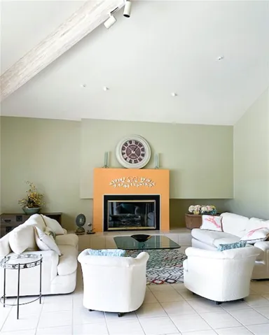 Living room and fireplace