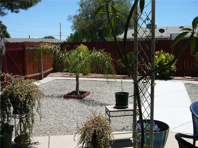 back yard view