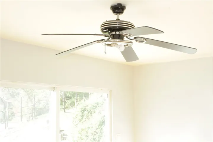 Ceiling fan and sliding door that goes tonthe back yard