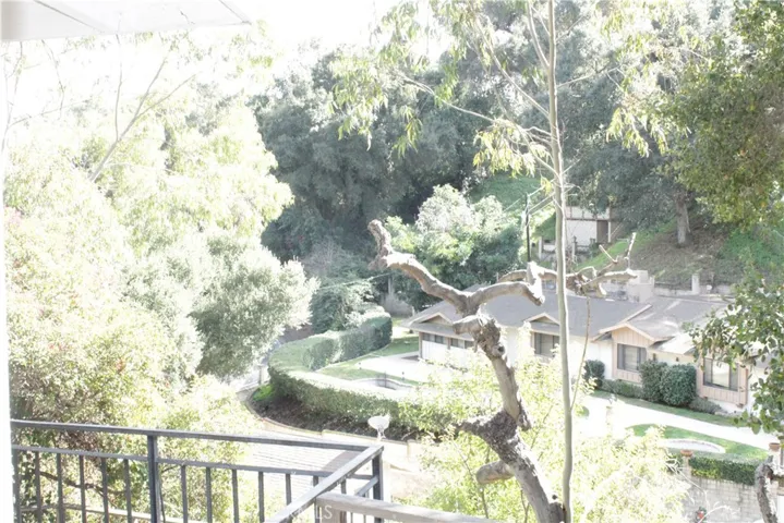Beautiful peaceful view from the living room