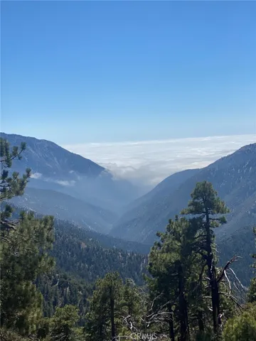 800 Swarthout Canyon/state Hwy 2 Road, Wrightwood, California 92397