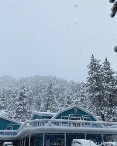 800 Swarthout Canyon/state Hwy 2 Road, Wrightwood, California 92397