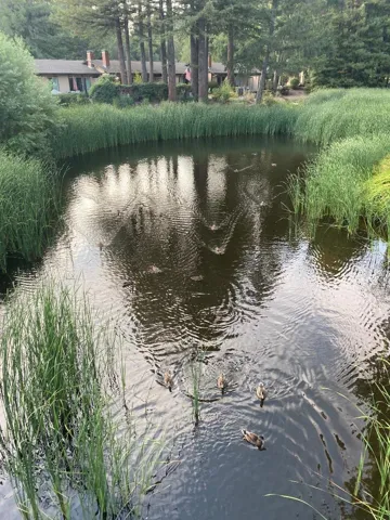 109 E Hilton Drive, Boulder Creek, California 95006