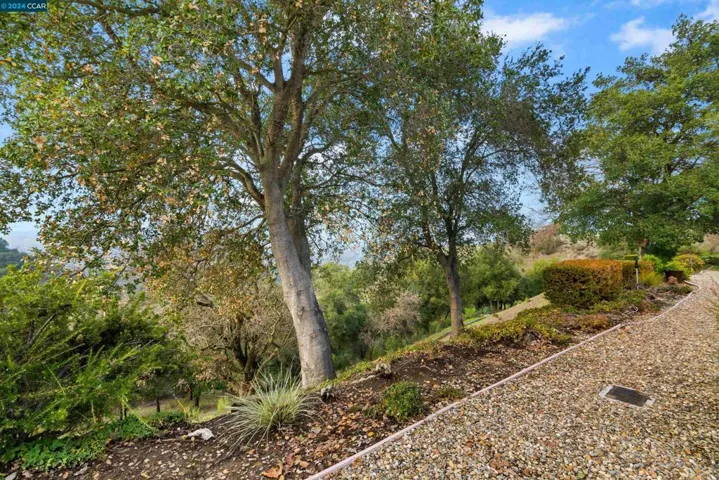 1300 Skycrest Dr 3, Walnut Creek, California 94595