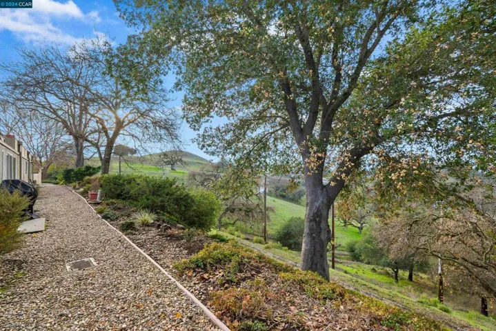1300 Skycrest Dr 3, Walnut Creek, California 94595