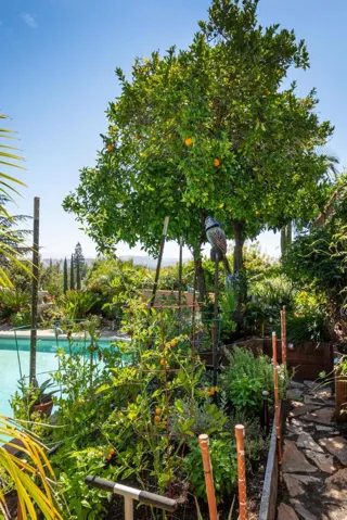 6318 Paso Los Cerritos, San Jose, California 95120