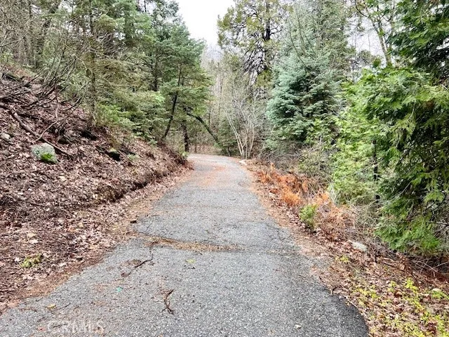 27680 Meadow Drive, Lake Arrowhead, California 92352