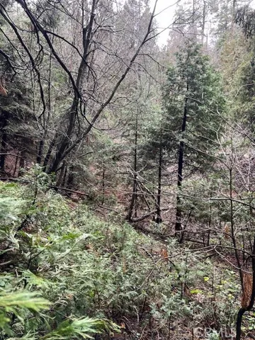 27680 Meadow Drive, Lake Arrowhead, California 92352