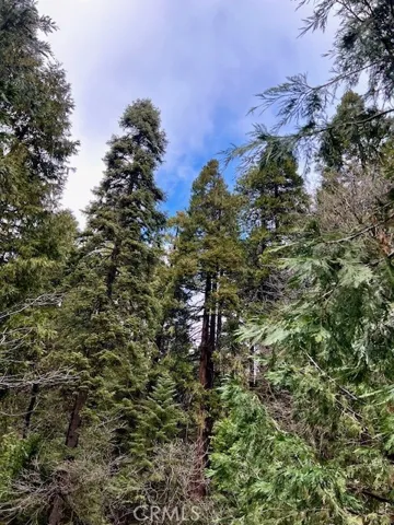 27680 Meadow Drive, Lake Arrowhead, California 92352