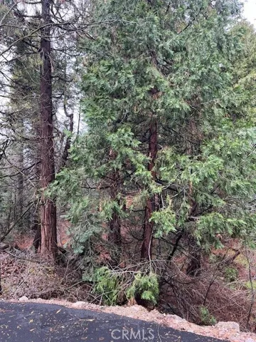 27680 Meadow Drive, Lake Arrowhead, California 92352